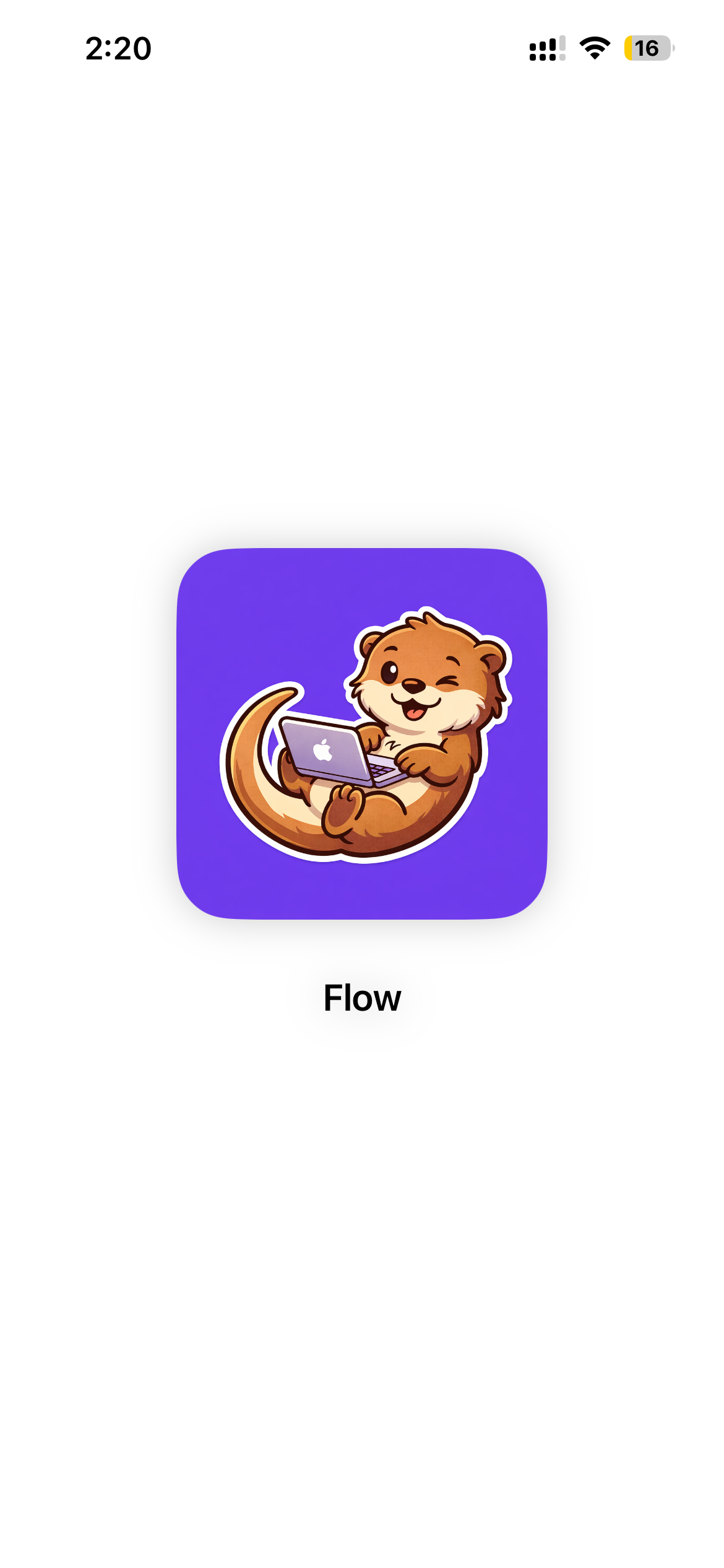 Flow preview